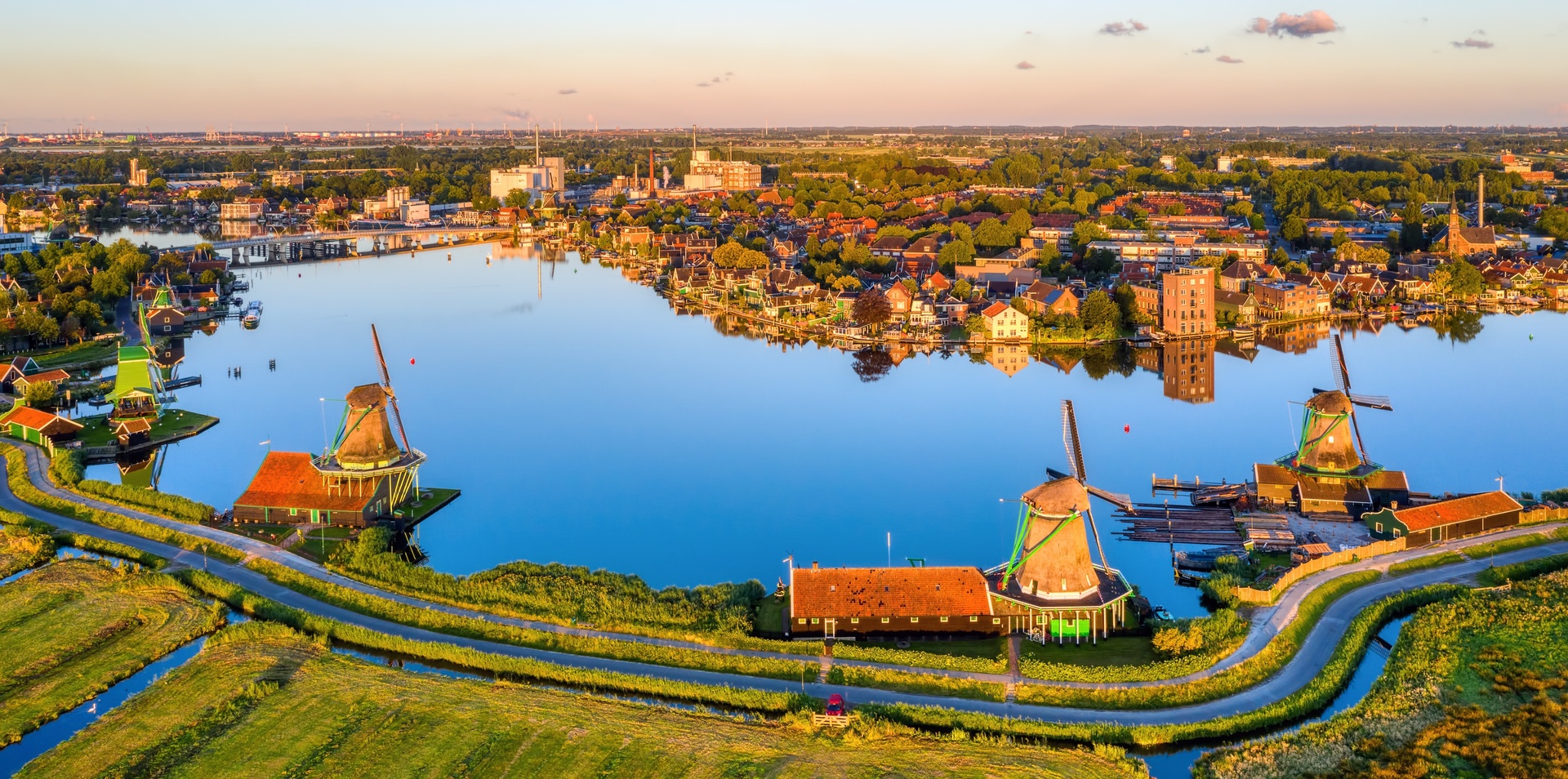 Tulips and Windmills